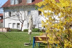 Garten (3)