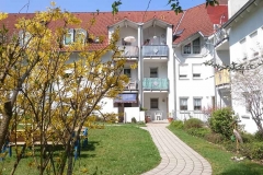 Garten (4)