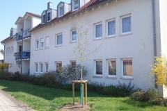 Garten (6)