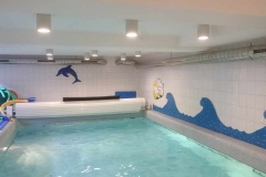 Schwimmbad (1)